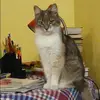 Отзыв от Надежда Лаврова